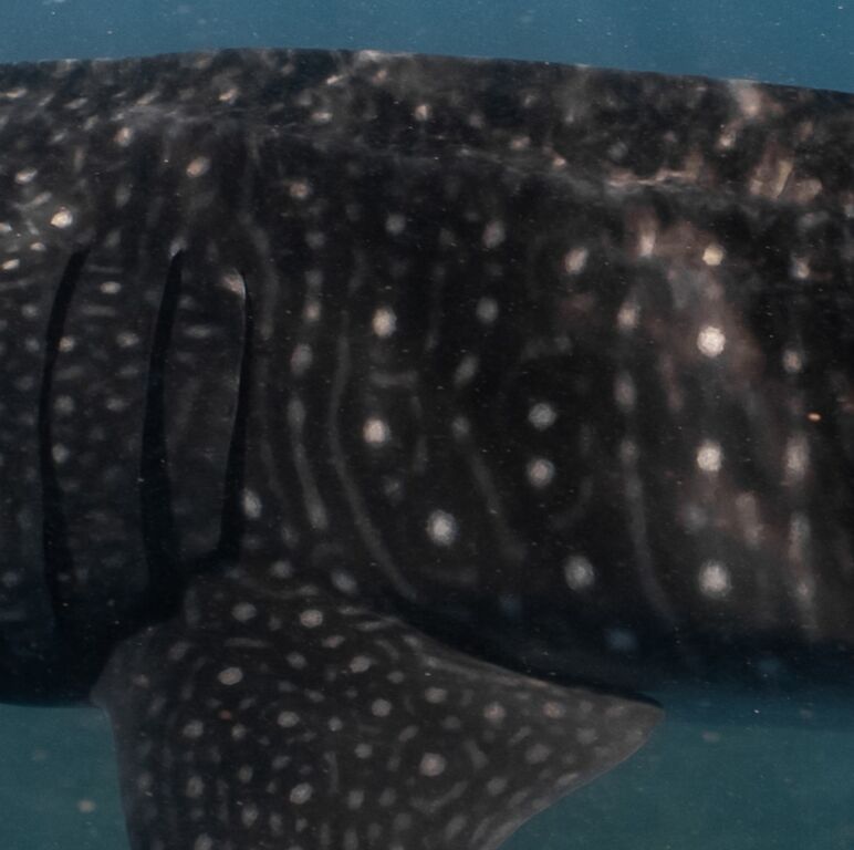 5f551a0b-ed54-4e85-86a8-fe70dd82bddf