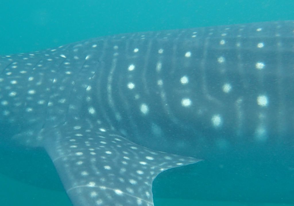 77110e63-99e5-4547-b4a1-17d6d2084211