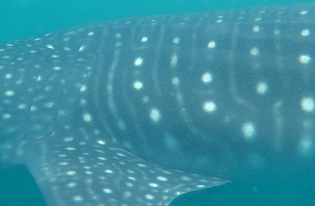 77110e63-99e5-4547-b4a1-17d6d2084211