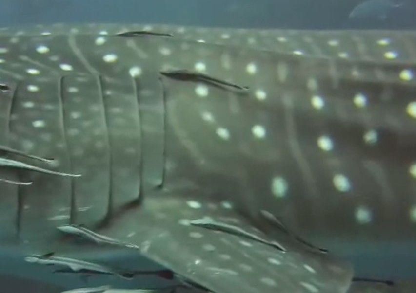 3d2fa45e-383f-4bc6-bb77-85a34561a937