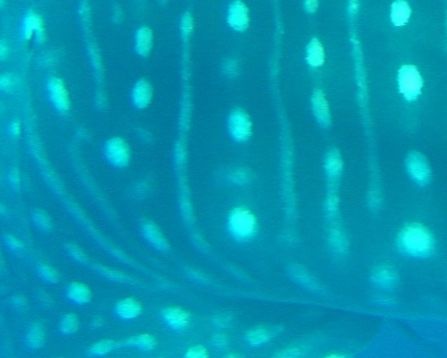 73af55bd-70ac-4218-a210-ceabf3f93f78