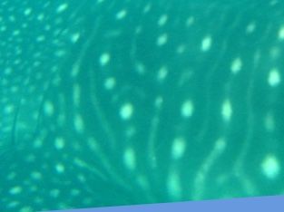 7eabfe2d-7fac-4a3c-96a7-3e5b47657e40