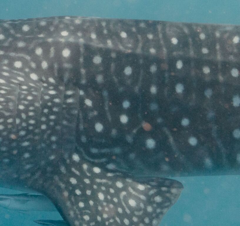 25faa725-63a4-4989-ac4d-b27659bf7373