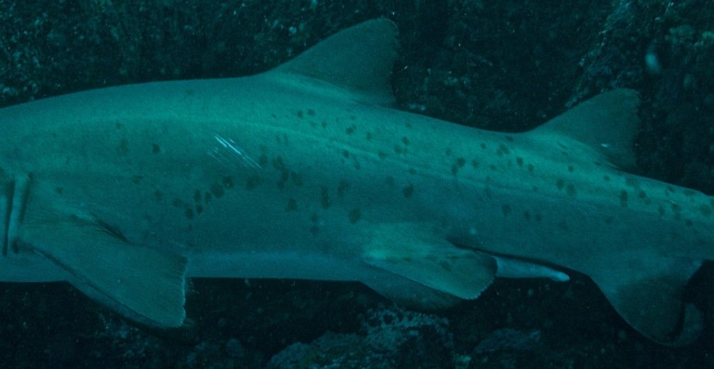 bf65bbd1-6a5e-4084-8a75-380e09a0d923