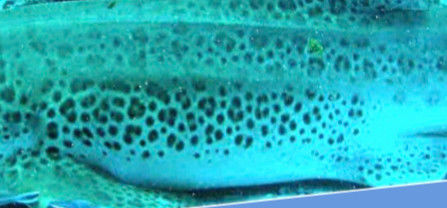 d81d38b5-1571-4844-a8f6-b479c6058481