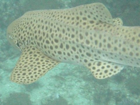 20e5e281-5d03-4eaf-b5e3-1bf99fed5272