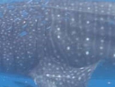 377f7598-85c8-4b33-acb3-5739b91b1fe2