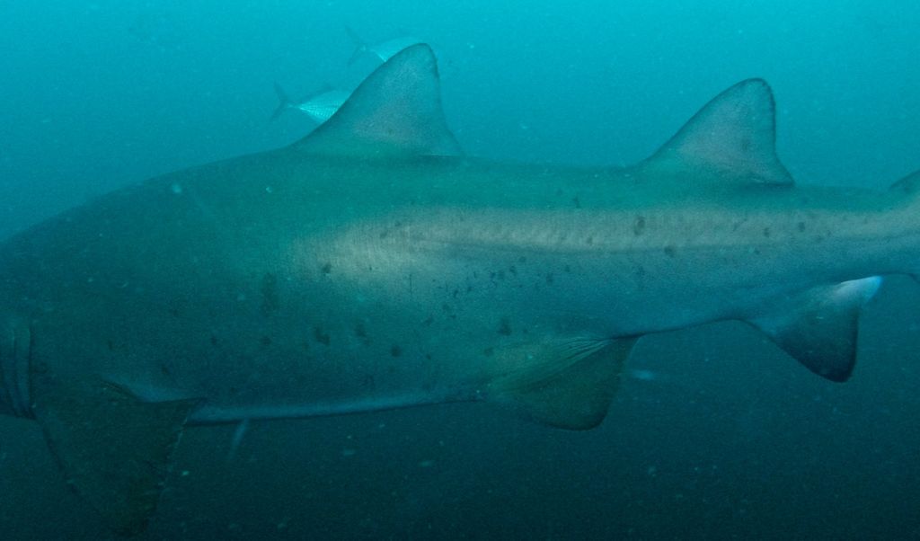 9d10b8e4-b81d-4c16-bd9c-704c4e96ee9b