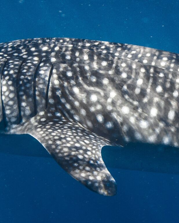 c9bf7e4e-8d5c-431c-b9e6-99a9f3adebae