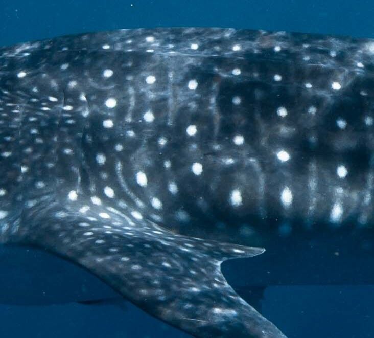 118a3632-1fde-47e6-b9d2-859e1f9b9d8d