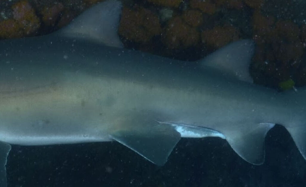 fca2e92b-7b30-48a2-bf1e-ad2acad1b846