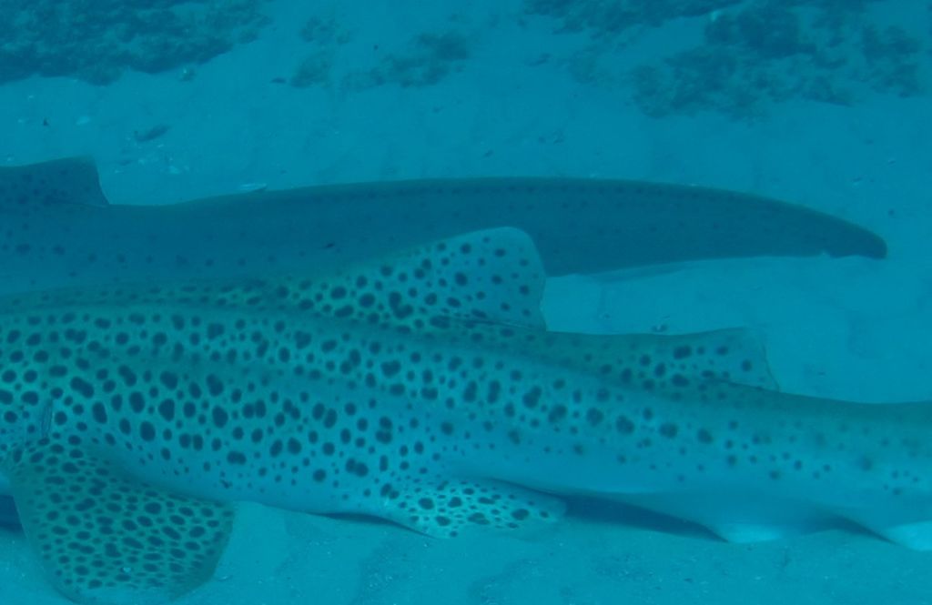 3bab8ac7-1acc-49d7-9ede-22843324fd67