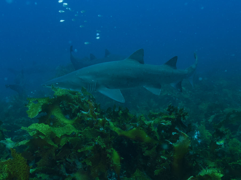 d563b574-0a2a-47d4-9d31-221020b03b8a