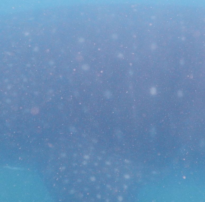 6383302e-812e-4dcd-9040-b3179120dc30