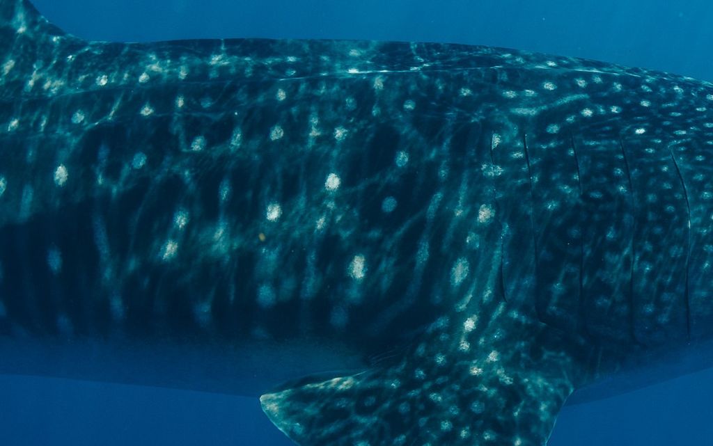 3ad6a165-20ac-4ae9-b6f8-db57d28236e4