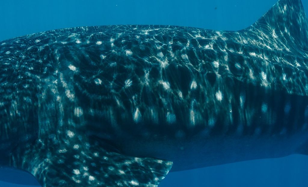 3ad6a165-20ac-4ae9-b6f8-db57d28236e4