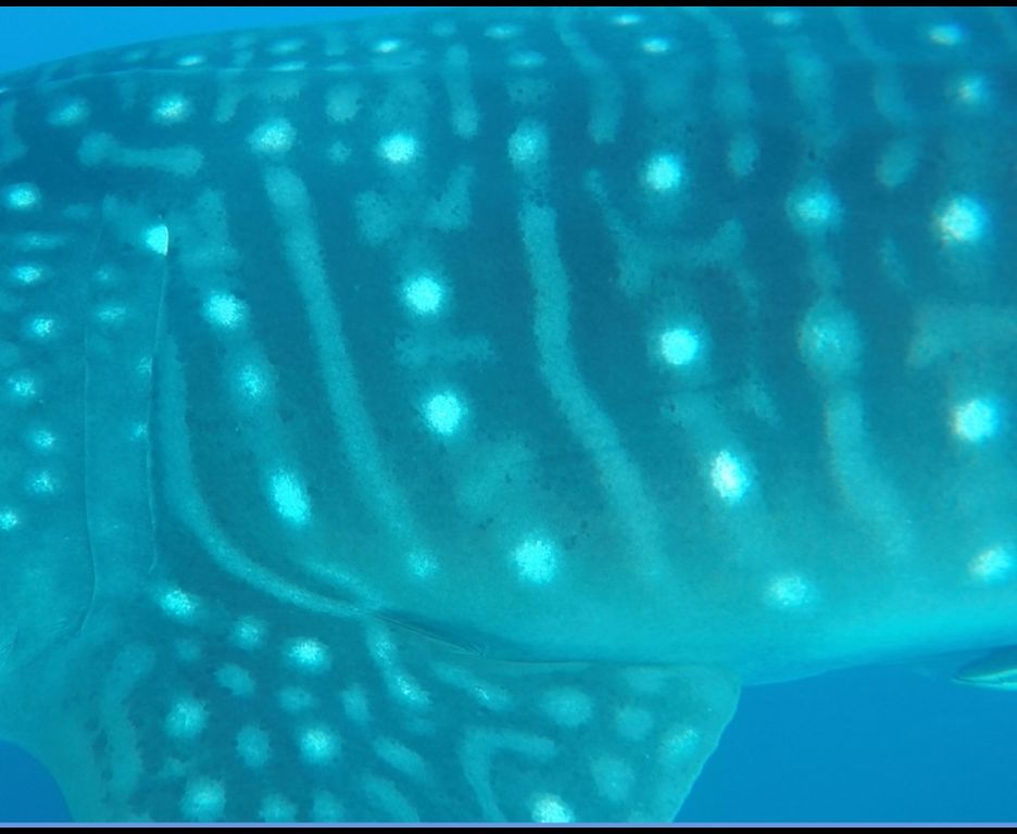 d4a4467f-1afa-4010-8f0f-41014afbe0dc