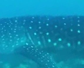 ed5859b9-394a-466d-81b2-90545493b694