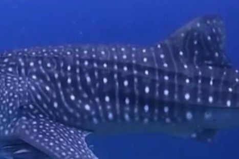 b644b049-99c6-403a-83aa-28d4fa5a8b92