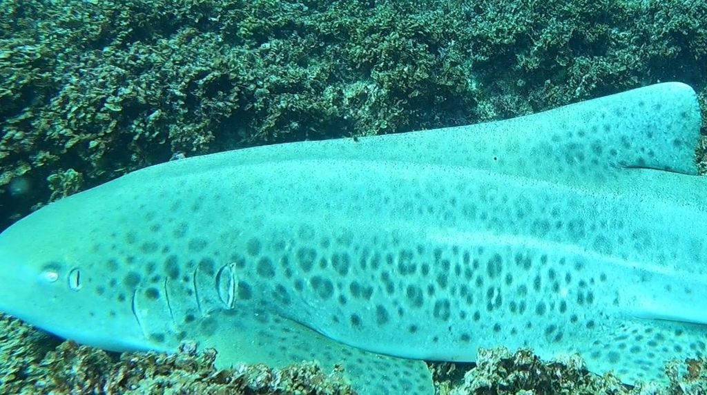 e5c151ec-1895-4350-bb91-736d8f04b8e8