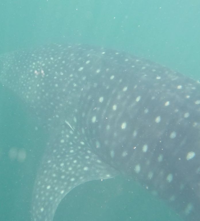 a3c91c57-ea43-466f-88fa-e47061acce40