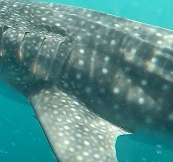 621d270a-8485-43e5-ad34-8c845ff195e3