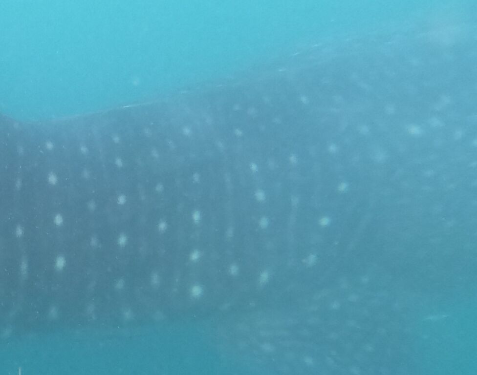 8c86ced8-3880-4e30-818b-4c5b40f6b1e3