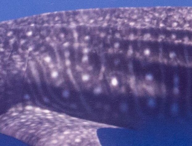 1f300775-1862-469d-a100-bf14eaf21411