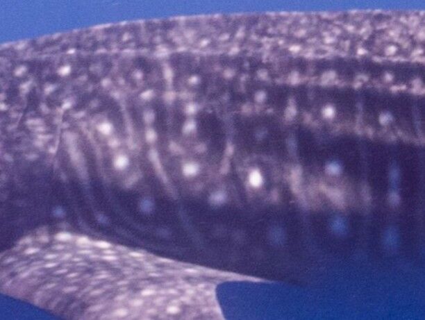 1f300775-1862-469d-a100-bf14eaf21411