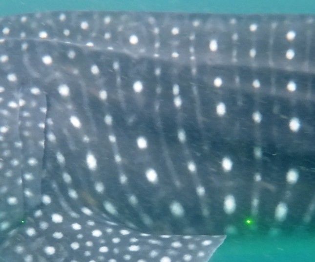 d2700546-54ae-478d-a997-7460e54e64c5