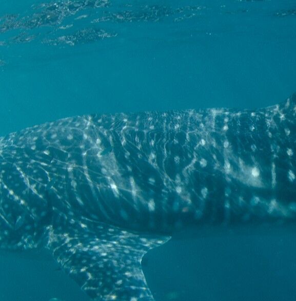 05b78436-ab62-48c4-9b41-e271abd302d2