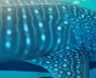 54611aad-a043-4889-9427-577ba9f5f3b3