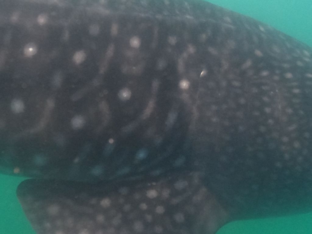 ba5e06ac-d097-4852-a20b-4e13fbff1026