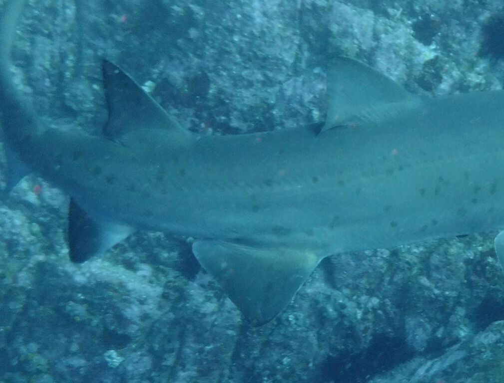 d1c60b20-c657-40d6-8376-2e269a4b6c8a