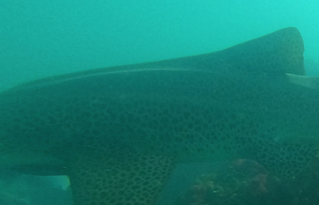 ff736dd6-8ee8-4625-9f24-9a69bb8a5391