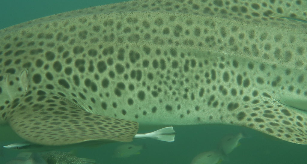 cad3d0cd-d7e4-47a0-afa3-68eee758c514