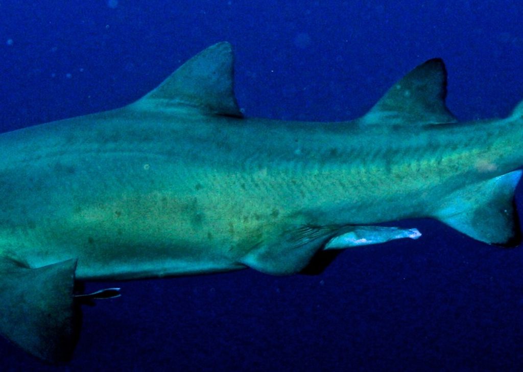 0fec1ed1-e146-41f3-8a63-62ab9e91af82