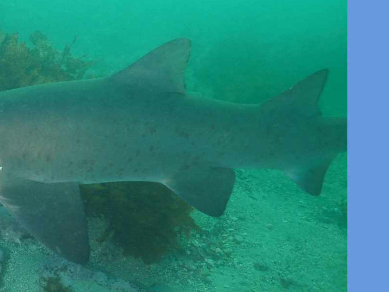 4ed9b274-eb64-4805-b8fe-ad217e52c9c5