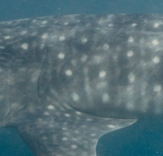 09ac36a2-8731-4e0c-9b8f-4ffd8b5561bd