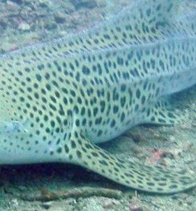 887c765b-f474-464e-813b-1d2ce484b154