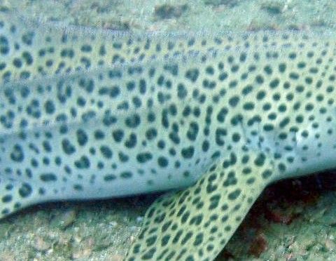 887c765b-f474-464e-813b-1d2ce484b154