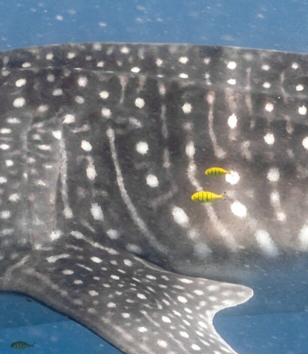 ccaf60c5-25db-42d3-b4d2-a2a362c046d3