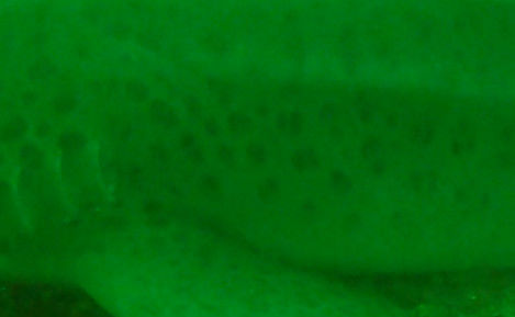 31ceab65-b7a3-467e-a7c8-7e9505bf06f3