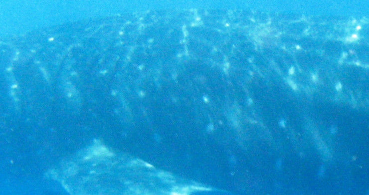 f0976835-cd14-4fe0-9ab4-fe1e23198e1d