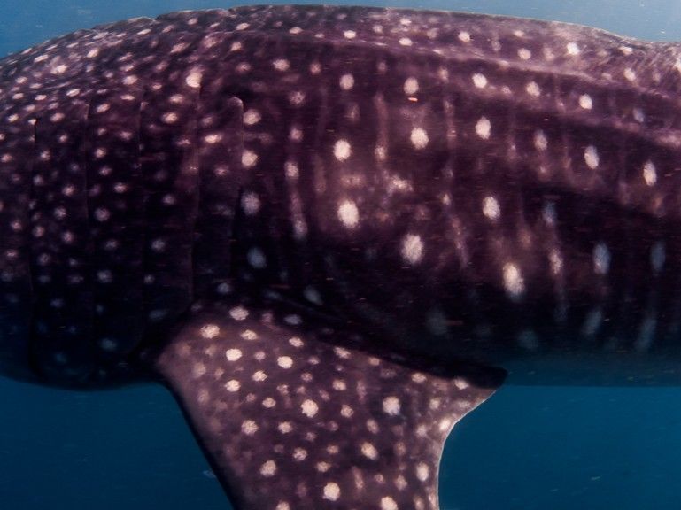 588c2de0-6e70-4247-8b4b-d0066133e6ed