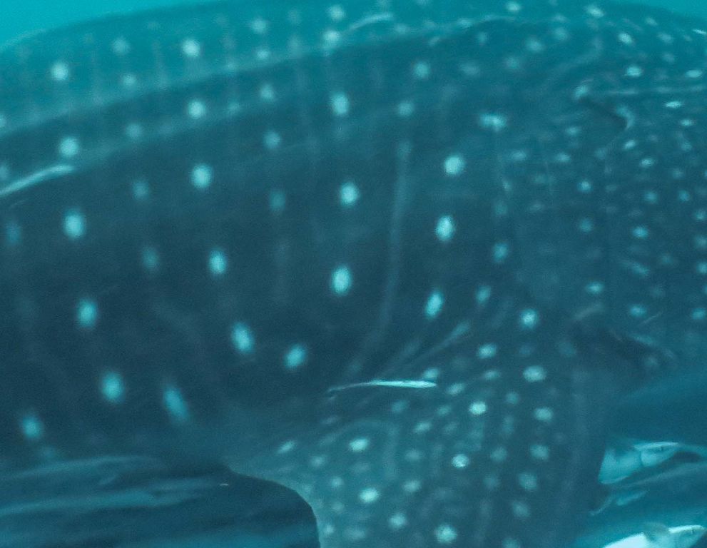 28df0d06-5c16-4389-8c1d-c725082796f0