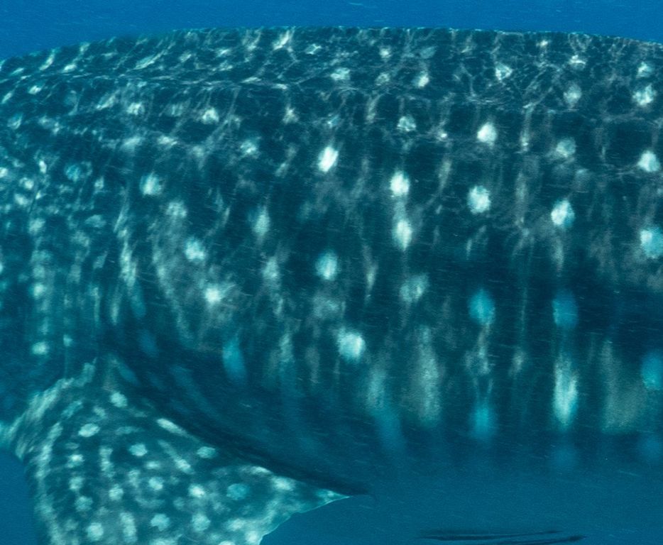 9b5550dc-70bd-4911-ae07-2dacaafd57fb