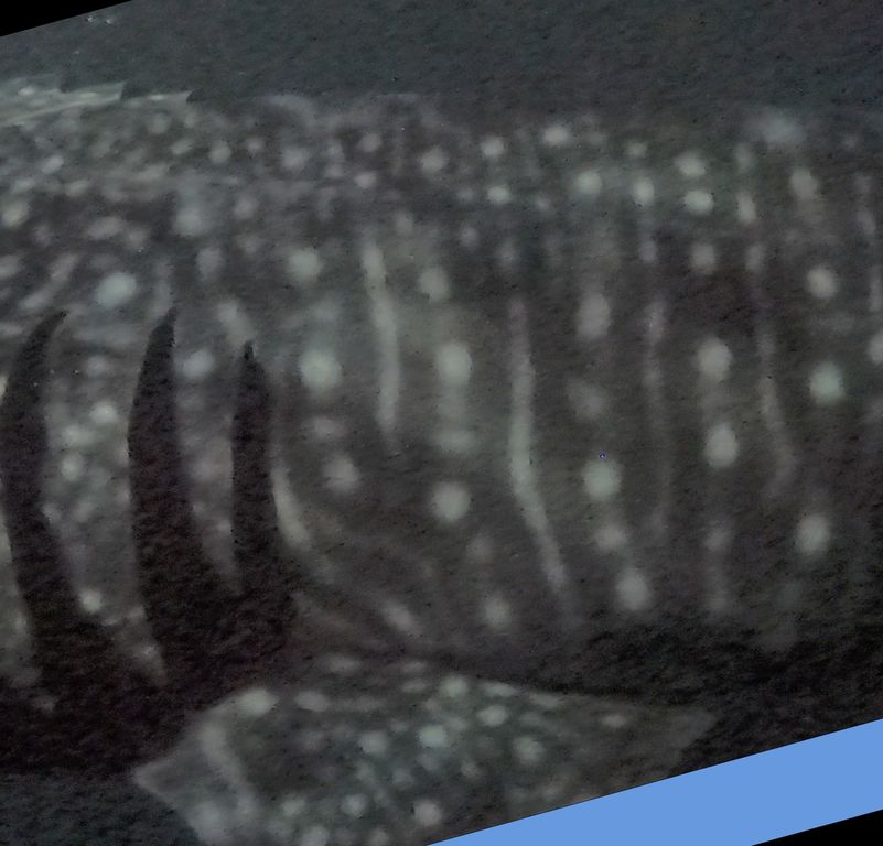 5121b469-d116-408e-8f63-2eddcdc27623