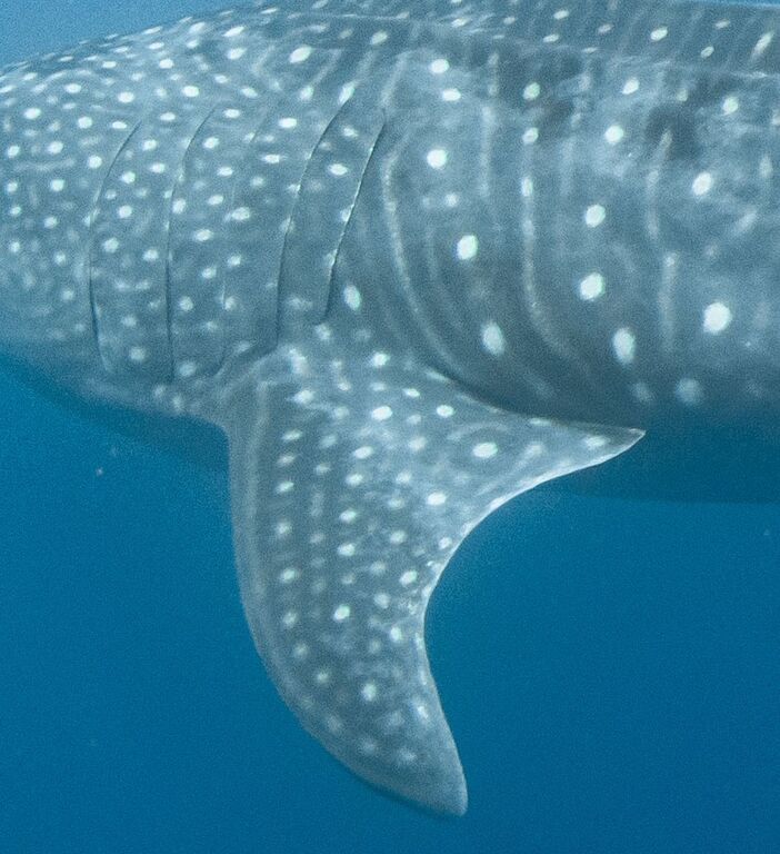 cc92a15e-662d-446a-a056-1552ec9ed9ac