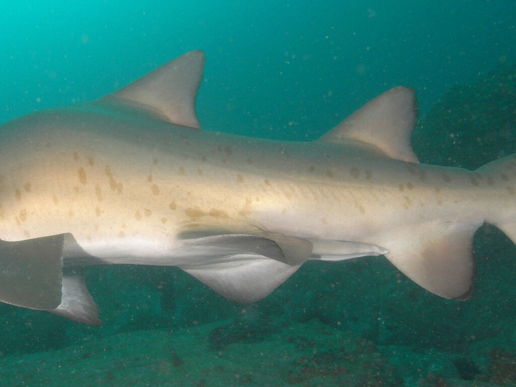 79d056fd-33ee-4d11-b814-9477c6b84ce0